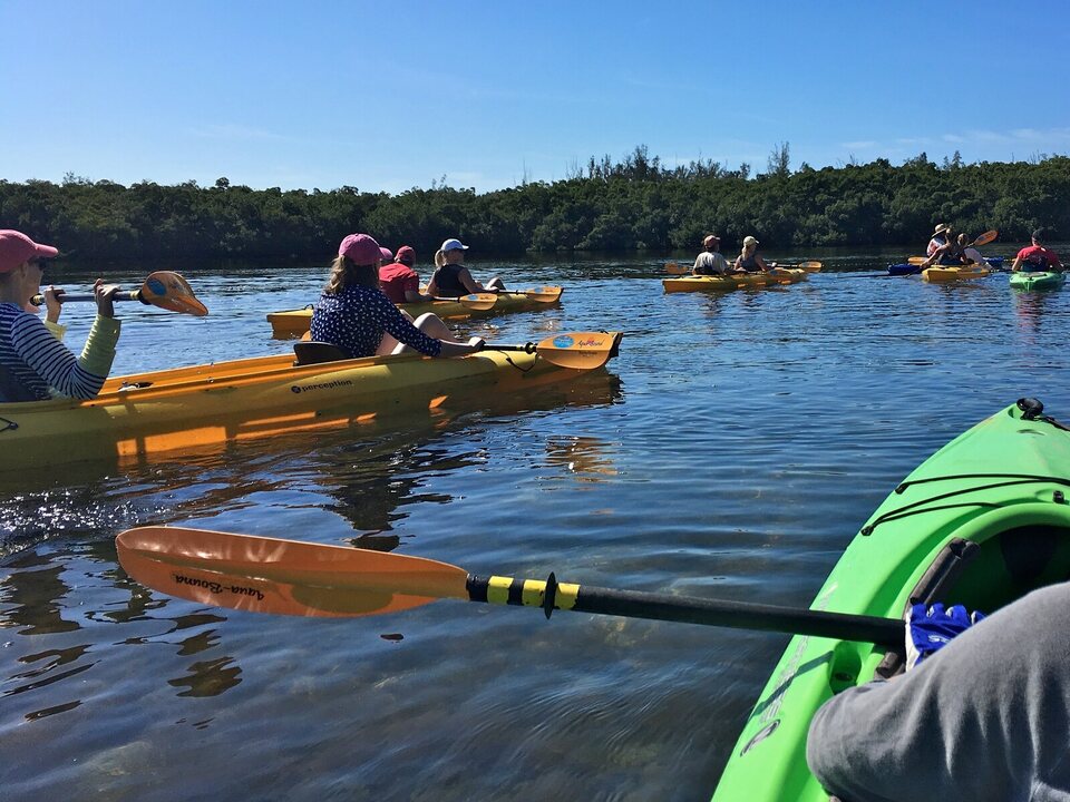 Kayakers crossing Sarasota Bay near the Lido Key mangrove tunnels