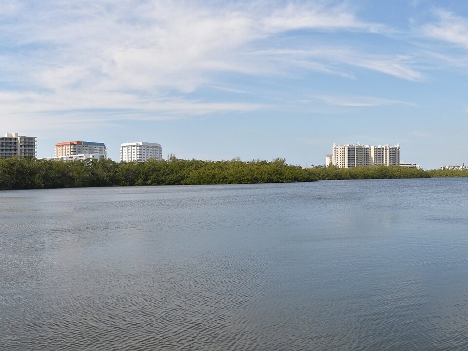 Calm water and mangroves at South Lido County Park in Sarasota