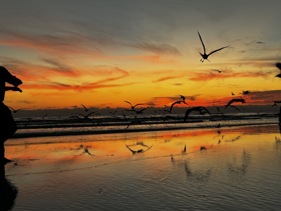 Sunset over Nokomis Beach with seabirds above the reflective shoreline